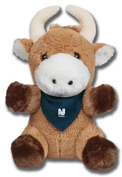 Ricardo the bull plush toy